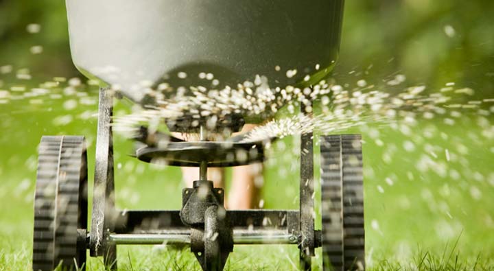 fertilizer-photo