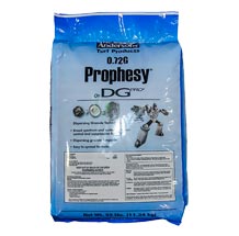 andersons-prophesy