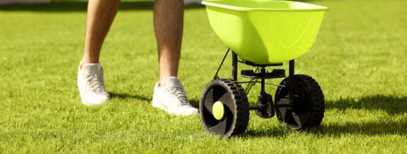 5 Tips For Spring Lawn Care - Woerner Turf