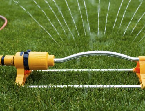 Key Summer Lawn Care Tips